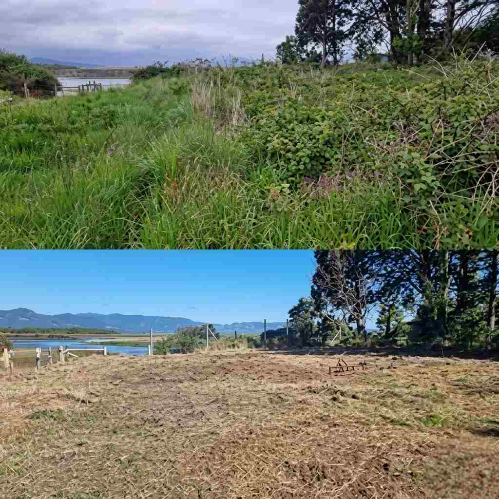 Desbroces de una finca, antes y después